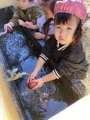 にじぐみだより🌈
